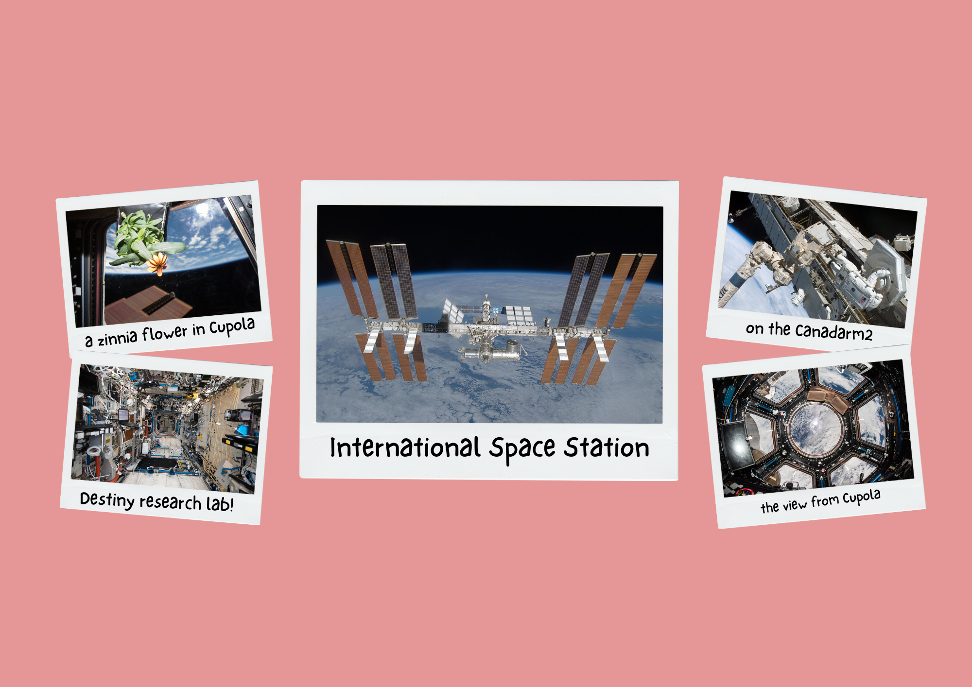 ISS Collage