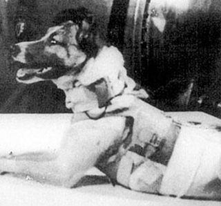 S Laikabiometric 1200X0 C Default