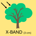 X Band