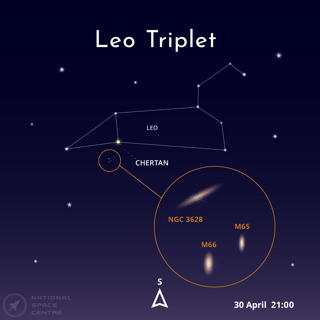 Leotriplet 1.1