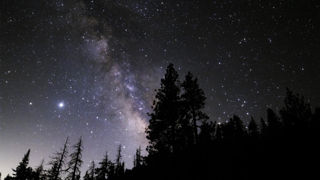 Night Sky Image with Trees
