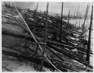 Trees Felled By The Tunguska Event Credit Leonid Kulik Expedition