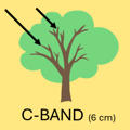 C Band