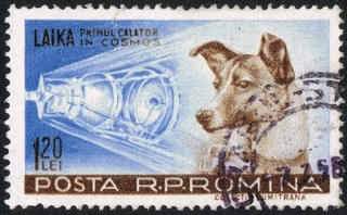 Posta Romana 1959 Laika 120 B