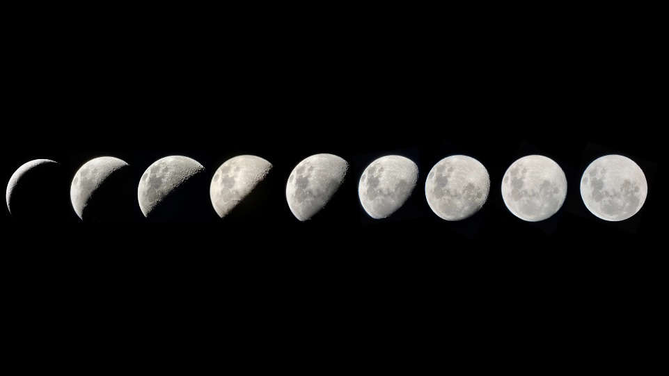 Phases of the moon photographed over the course of April 2021. Equipment: Celestron AstroMaster LT 76AZ, iPhone. 
