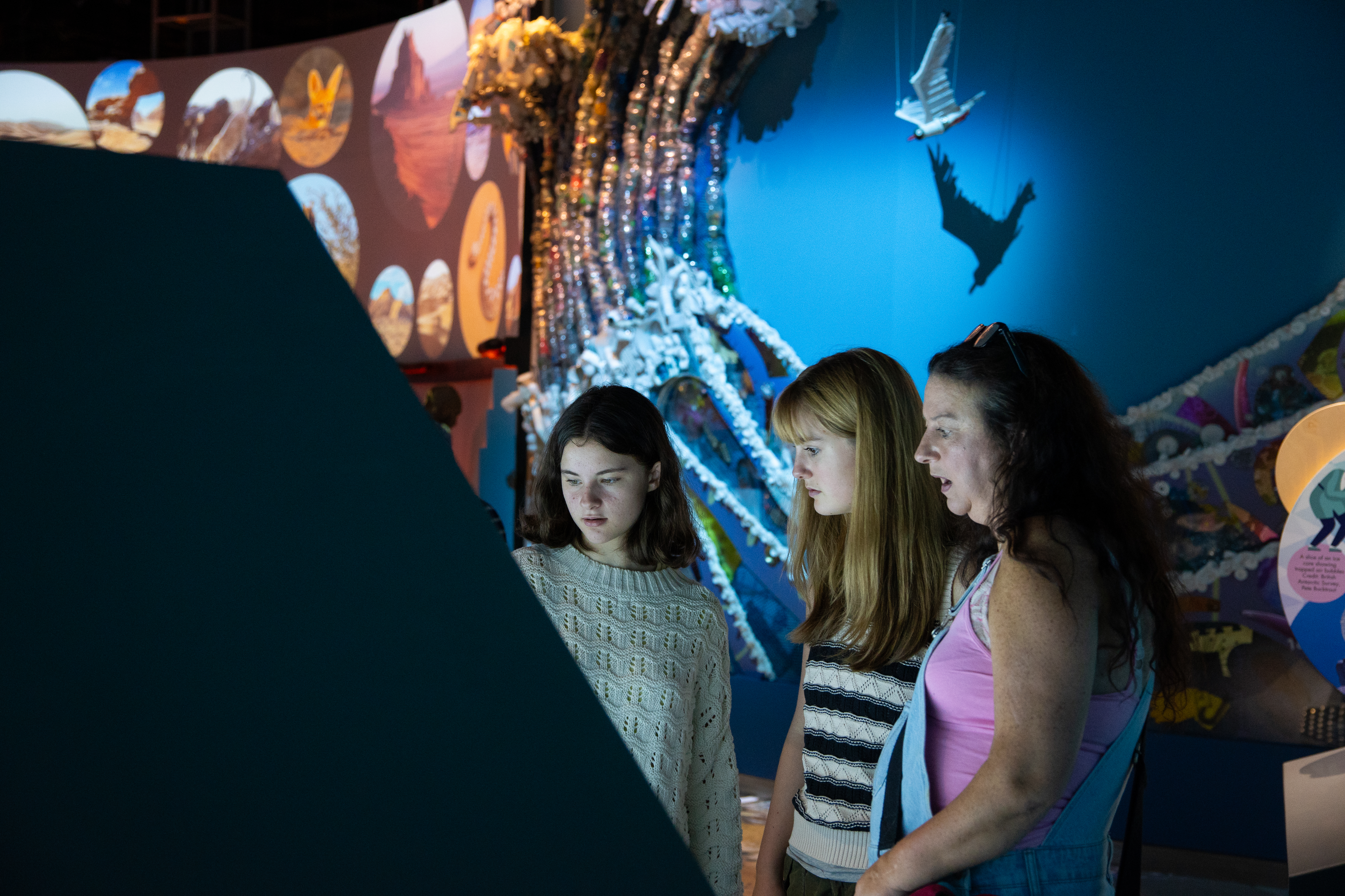 Home Planets gallery with visitors