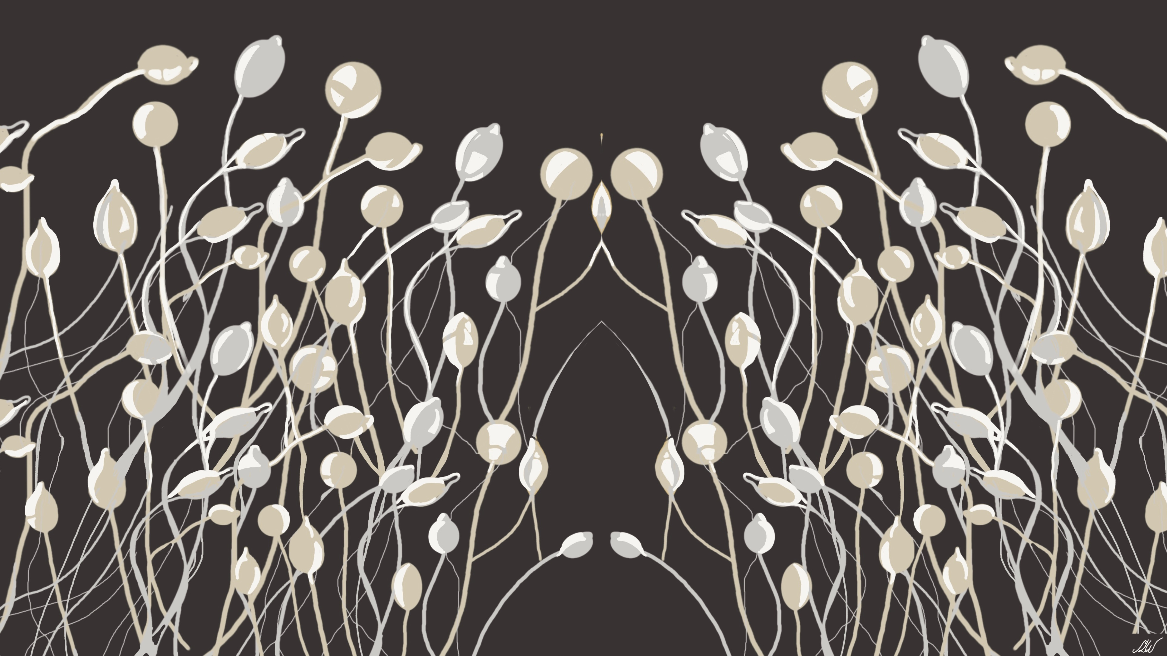 Illustration of Dictyostelium discoideum (D. discoideum). 