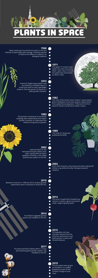 4 NSC Plantsinspace Timeline HD