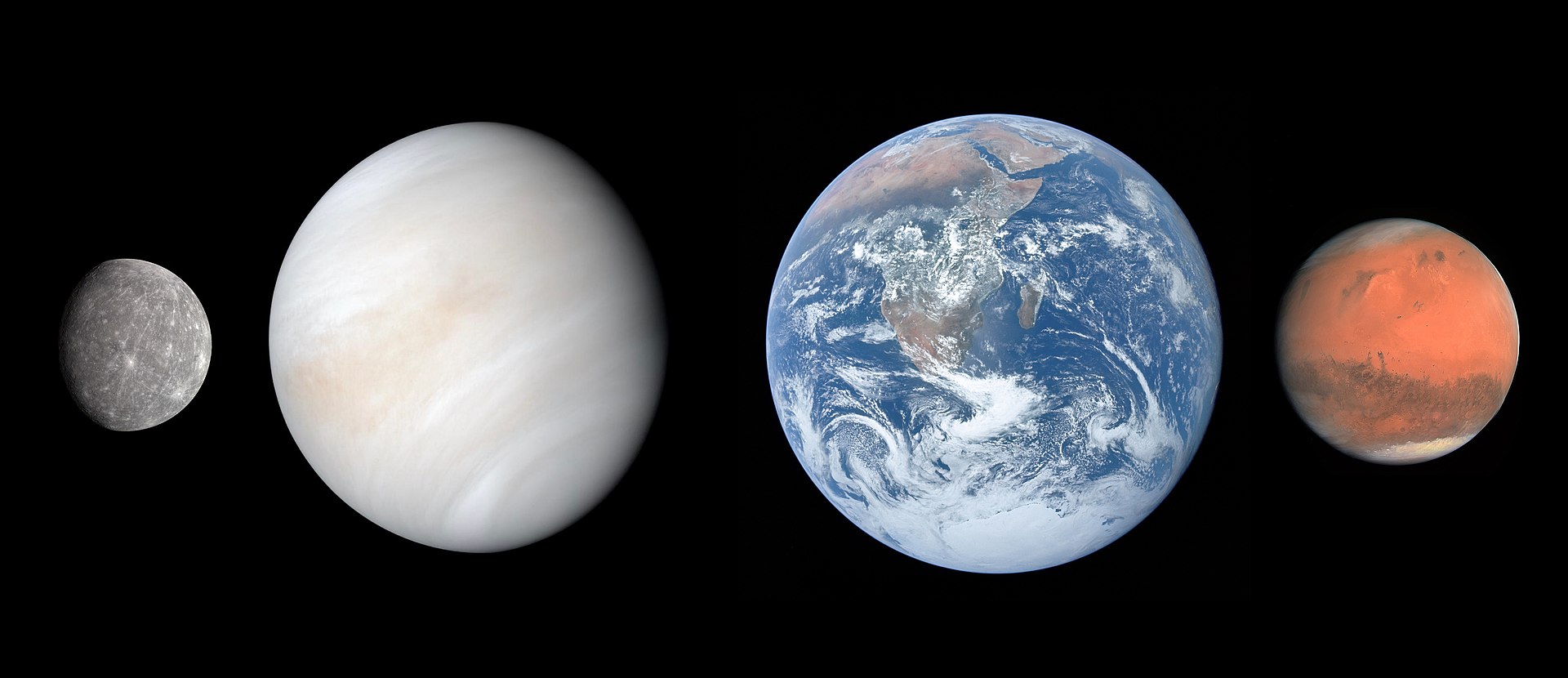 Venus size to scale compared to the other terrestrial planets in our Solar System.