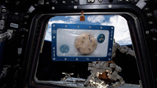 Cookie baked on ISS