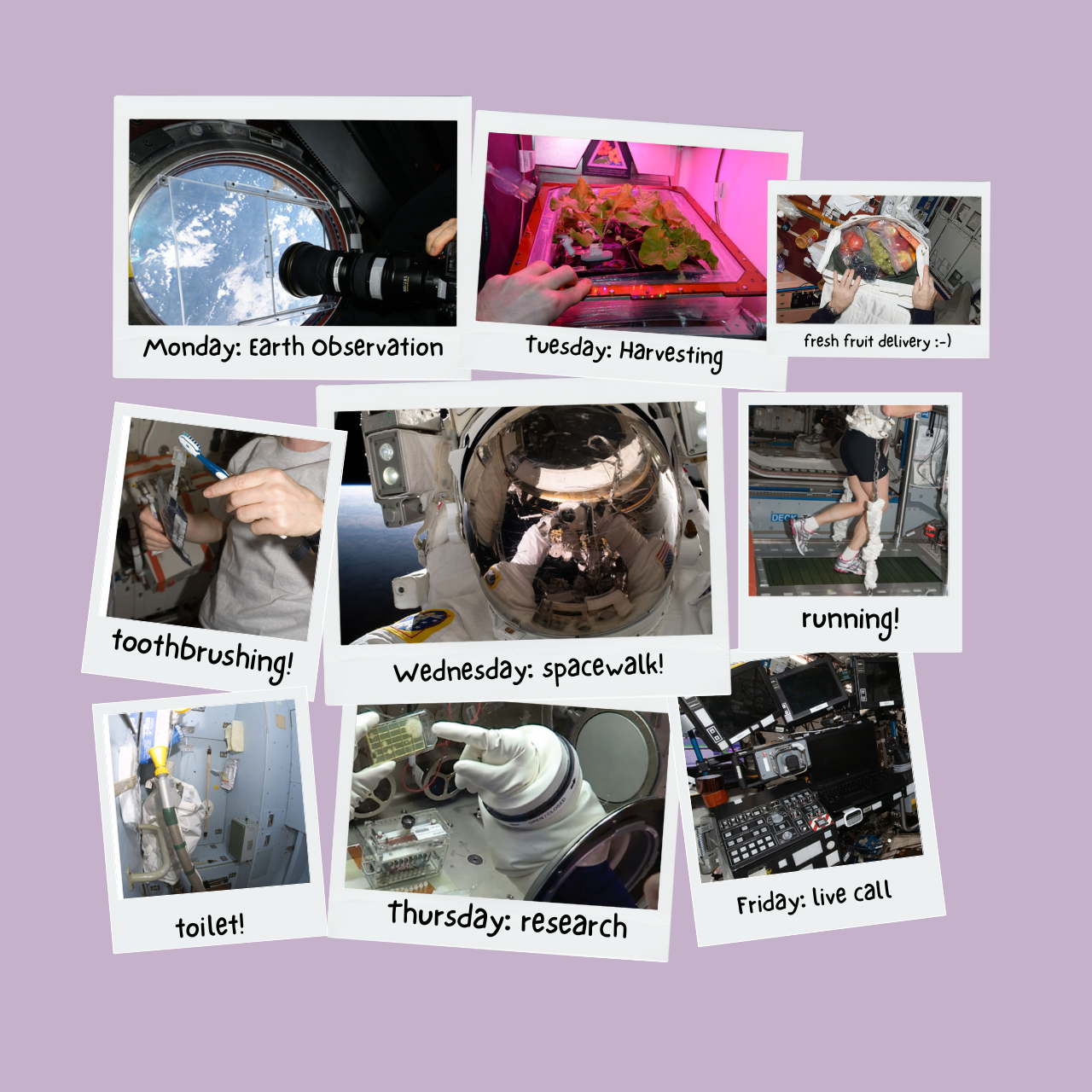 Collage of Weekly ISS Duties