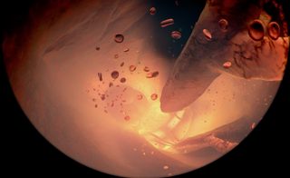 Full dome content from a planetarium show.